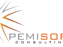 Pemisoft Consulting - consultanta profesionala resurse umane, salarizare